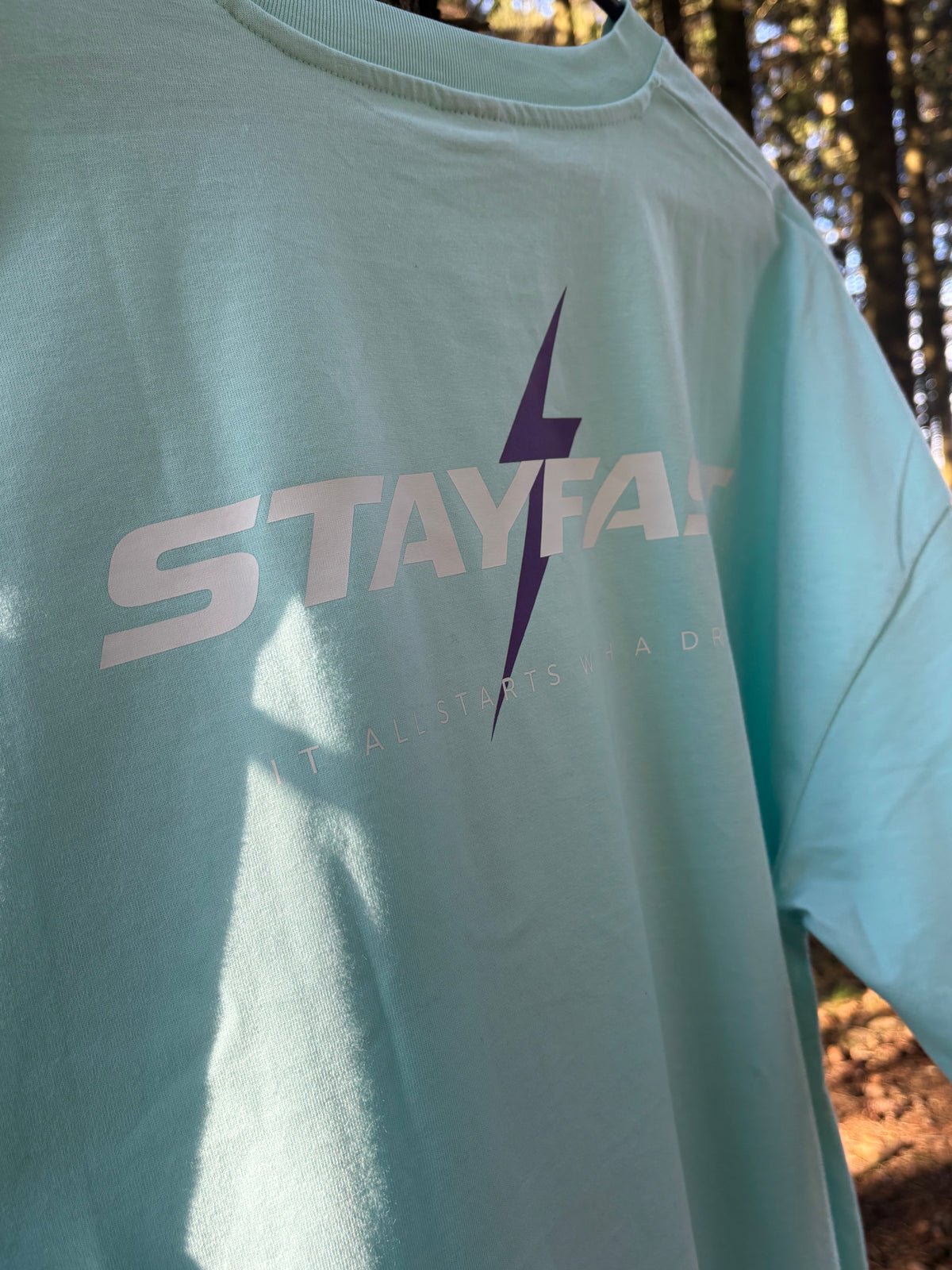STAYFAST DREAMS T-Shirt Hellblau