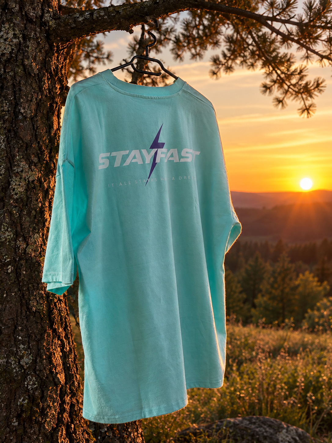 STAYFAST DREAMS T-Shirt Hellblau